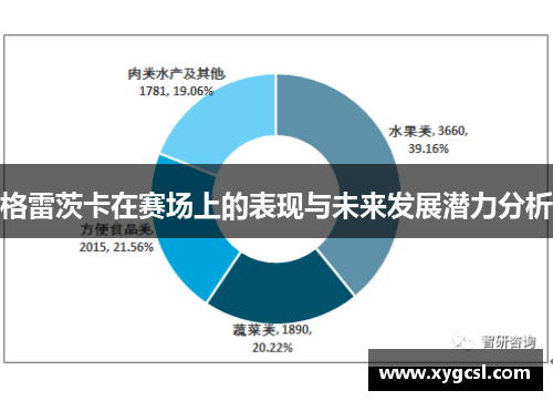 格雷茨卡在赛场上的表现与未来发展潜力分析