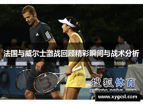 法国与威尔士激战回顾精彩瞬间与战术分析