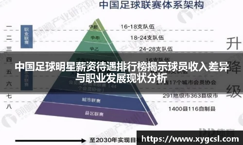 中国足球明星薪资待遇排行榜揭示球员收入差异与职业发展现状分析