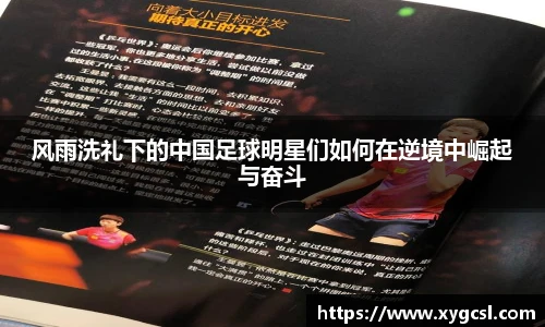 必一运动bsport体育